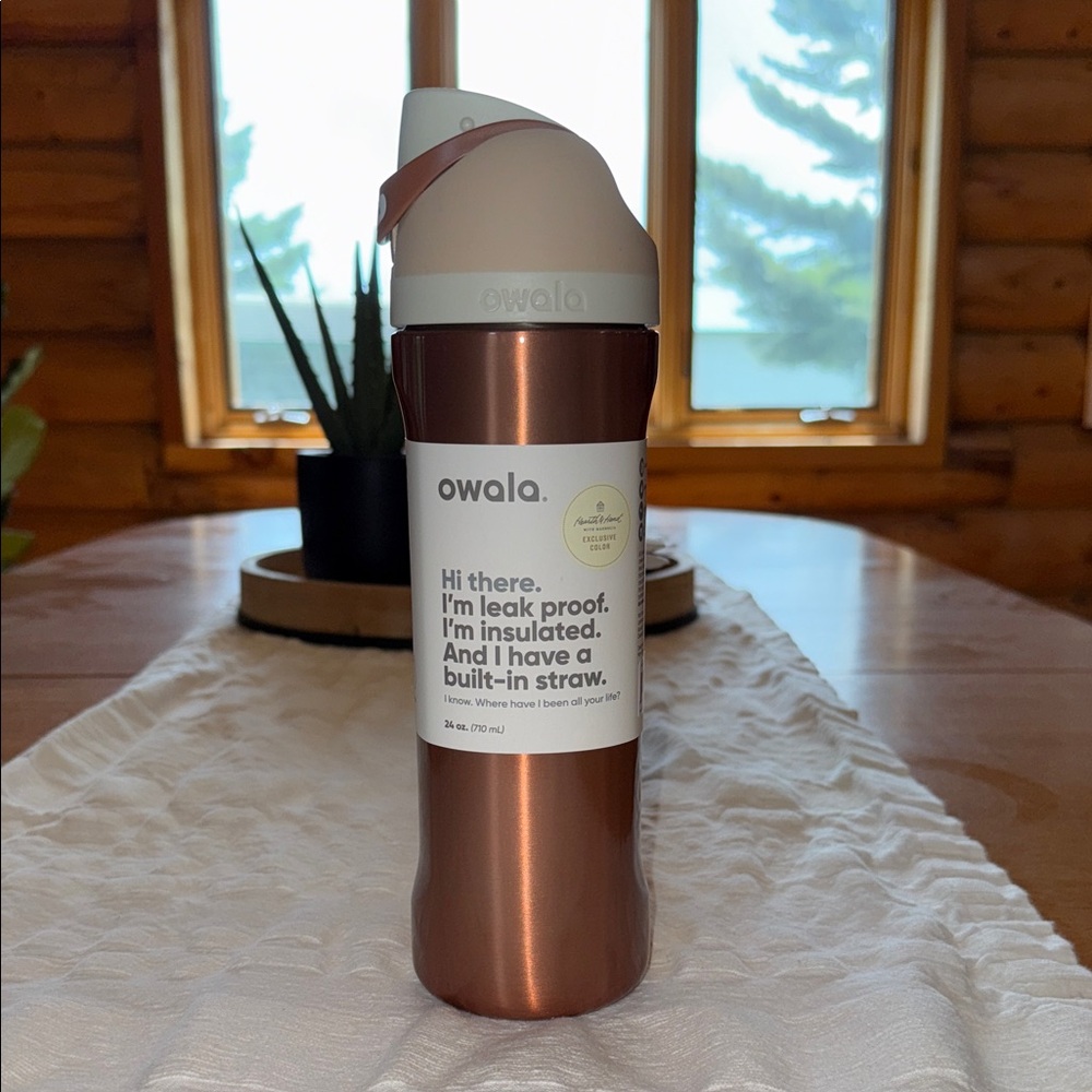 Owala Insulated Water Bottle with Straw - Copper